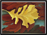 Leaves Gallery